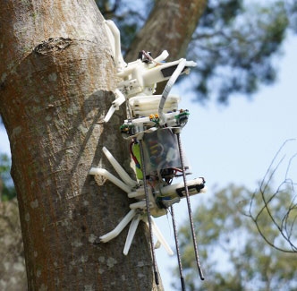 Робот Treebot